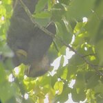 Photo taken by Dana F