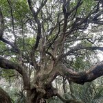 Photo taken by Lee B