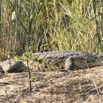 Photo taken by Glicelda B