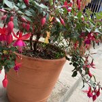 Photo taken by Amanda H