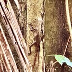 Photo taken by Ben B