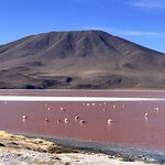 Photo taken by Shirley S