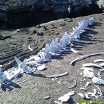 Photo taken by Richard P