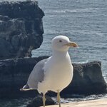 Photo taken by Doug P