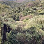 Photo taken by Tamara C