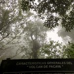 Fog on the way up Pacaya | Photo taken by BRAD K