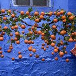 Photo taken by Linda S