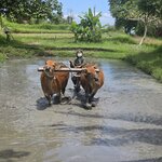 Photo taken by Minu C