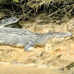 Photo taken by Judy H