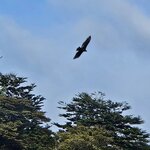 Photo taken by Stefani C