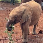 Photo taken by Nicole B