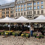 Photo taken by Karen M