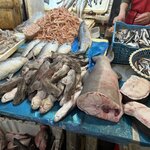 Photo taken by Paula H