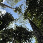 Photo taken by Edit M