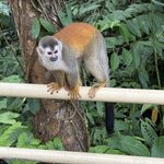 Photo taken by Ora Y