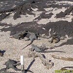 Photo taken by Richard P