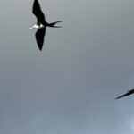 Photo taken by Thomas L