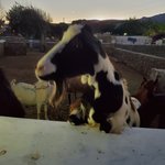 Photo taken by Patricia K