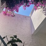 Photo taken by Ingenie D