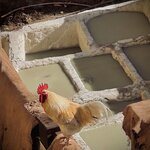 Photo taken by Colin M