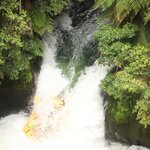 Photo taken by Wendell C