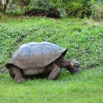 Photo taken by Patricia D