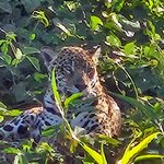 Photo taken by Adriene A