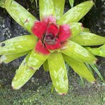 Photo taken by Alexia M