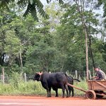 Photo taken by Jaya R