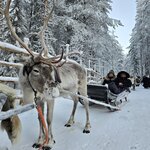 Photo taken by Anna P