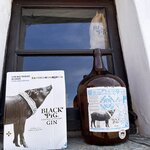 Photo taken by Lynn R