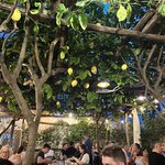 Photo taken by Jennifer F