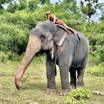 Photo taken by Jana W