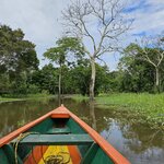 Photo taken by Peter F