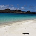 Quintessential Galapagos scene, can you believe how beautiful that water is?!?! | Photo taken by Peter S