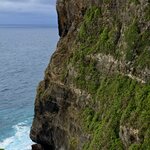 Photo taken by Nancy P