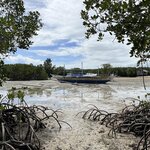 Photo taken by Edit M