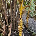 Photo taken by Ben B