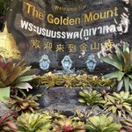 Photo taken by Milton L