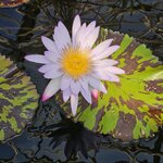 Photo taken by Jen F