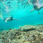 Photo taken by Valerie K