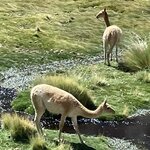 Photo taken by Eric H