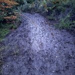 Photo taken by Amber S