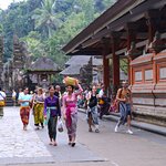 Photo taken by Laurence S