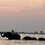 Photo taken by Janie W