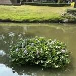 Photo taken by Fuad A