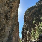 Photo taken by Darcy G