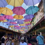 Photo taken by Carine D