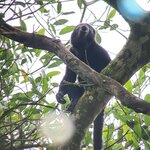 Photo taken by Linda P