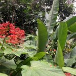 Photo taken by Jane K